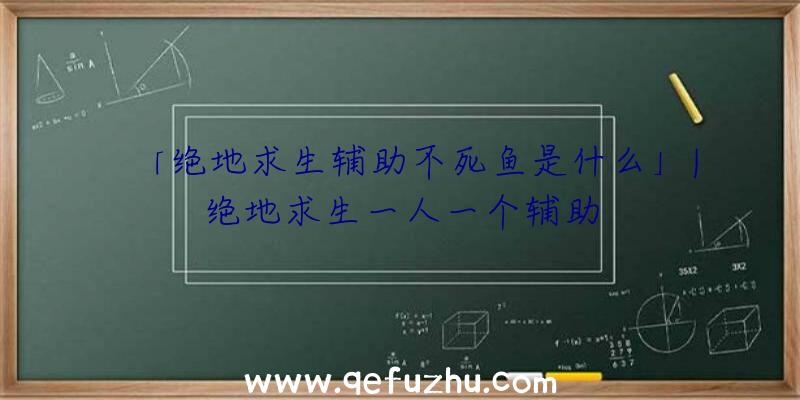 「绝地求生辅助不死鱼是什么」|绝地求生一人一个辅助